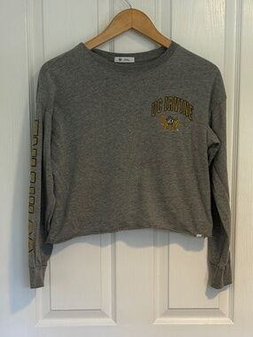 UC Irvine cropped long sleeve tee, gray Sz sm